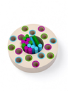 ( Montessori Color Matching Ring Toy).
